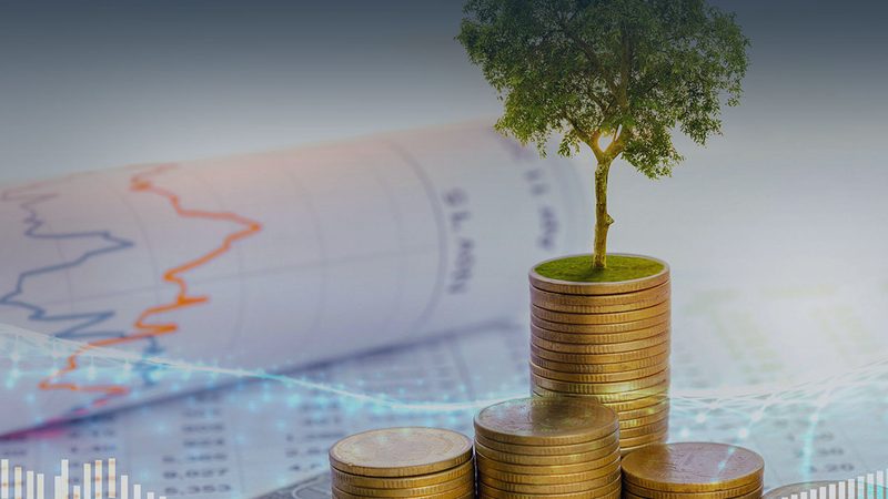 战略咨询方案编写：避免五大误区，提升方案质量